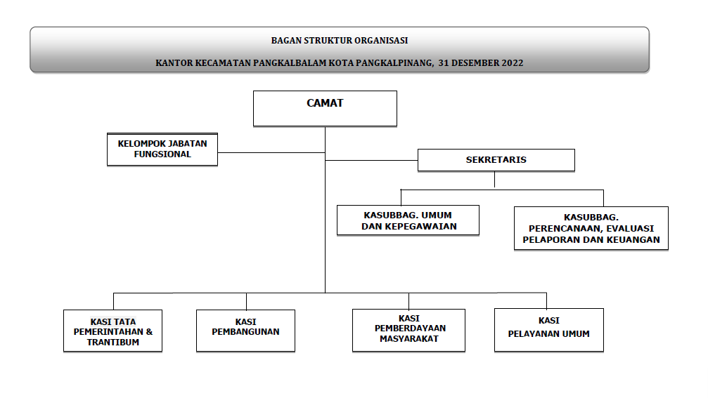 STRUKTUR_ORGANISASI_KECAMATAN.png